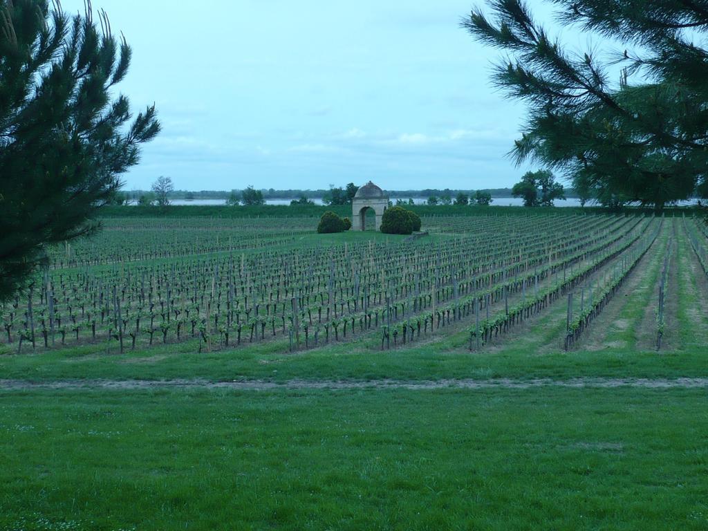 Gites Gayet Saint-Androny Экстерьер фото